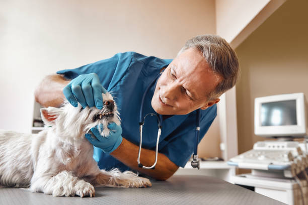 Best Same-Day Emergency Appointments in White Oak, TX